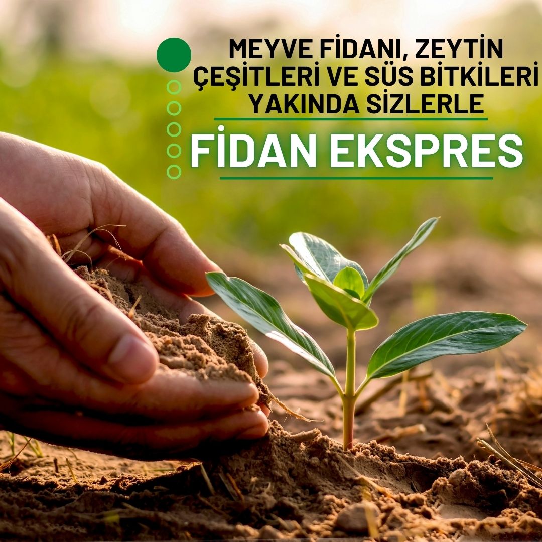 Fidan Ekspress